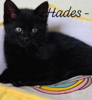 Hades